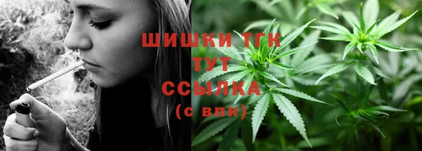ГАЛЛЮЦИНОГЕННЫЕ ГРИБЫ Аркадак