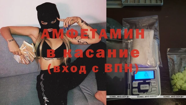 трава Балахна
